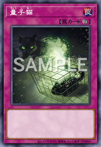 量子猫 カード詳細 遊戯王 オフィシャルカードゲーム デュエルモンスターズ カードデータベース
