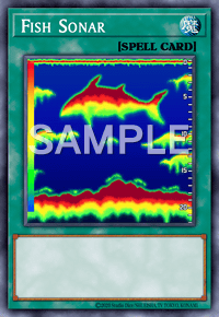 Fish Sonar, Card Details